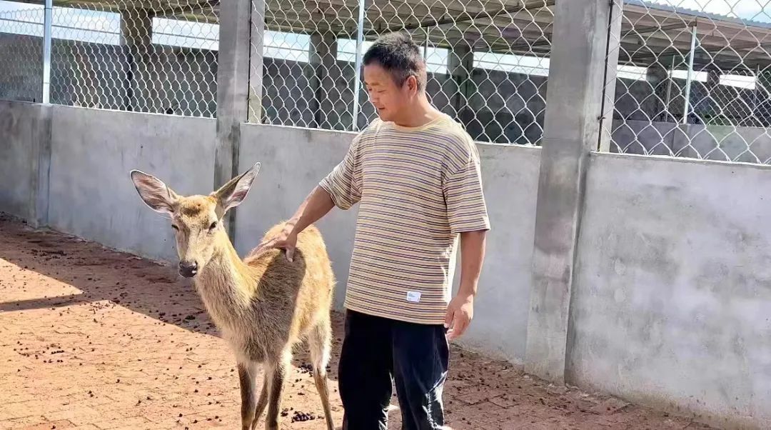 59博论坛免费彩59bo
